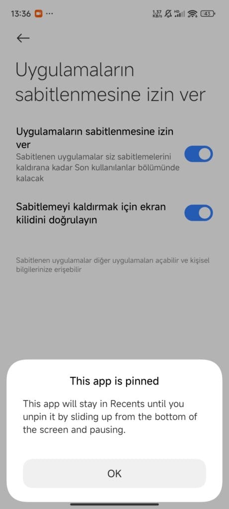 HyperOS App Pin Settings