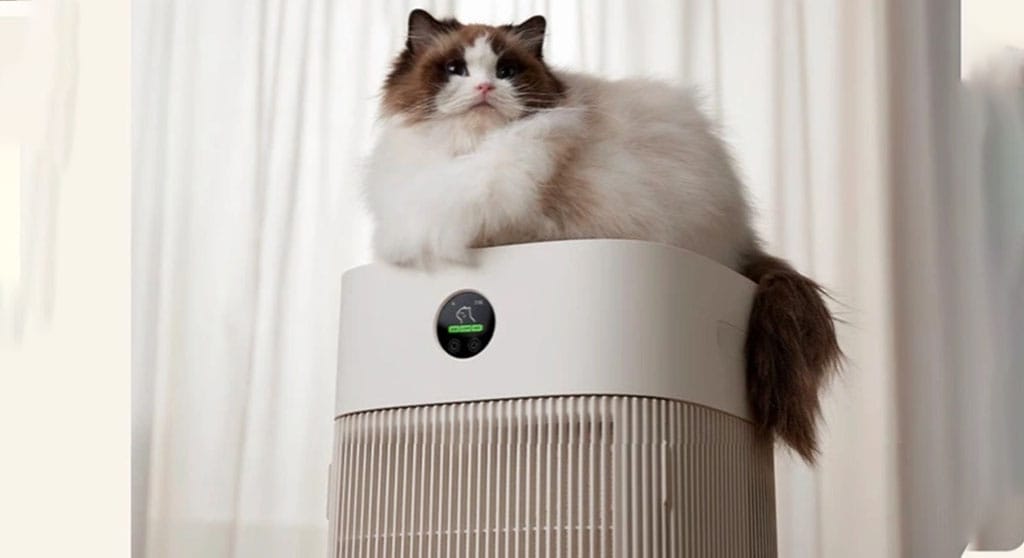 Xiaomi unveils its new Mijia Pet Air Purifier to eliminate pet smells