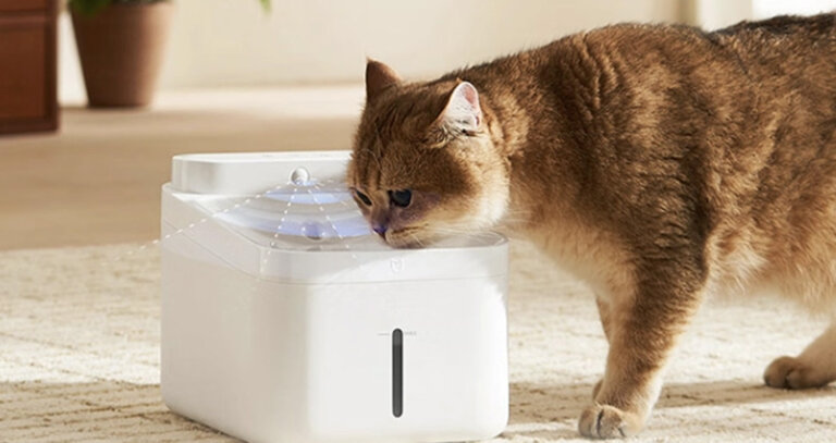 Xiaomi Launches Mijia Smart Pet Water Dispenser 2 Sterilization Edition