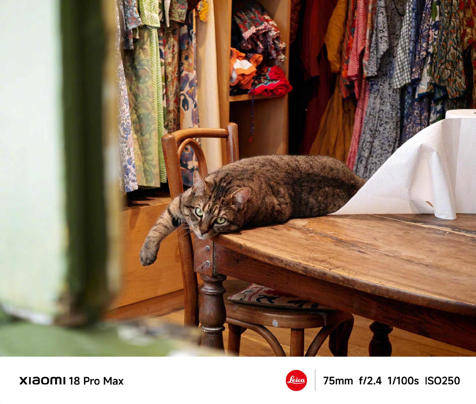 Xiaomi 18 Pro Camera Combines Leica Optics with AI for Stunning Photos 4 002p2Zyzly1ihc3keoptpj635s2oou0z02
